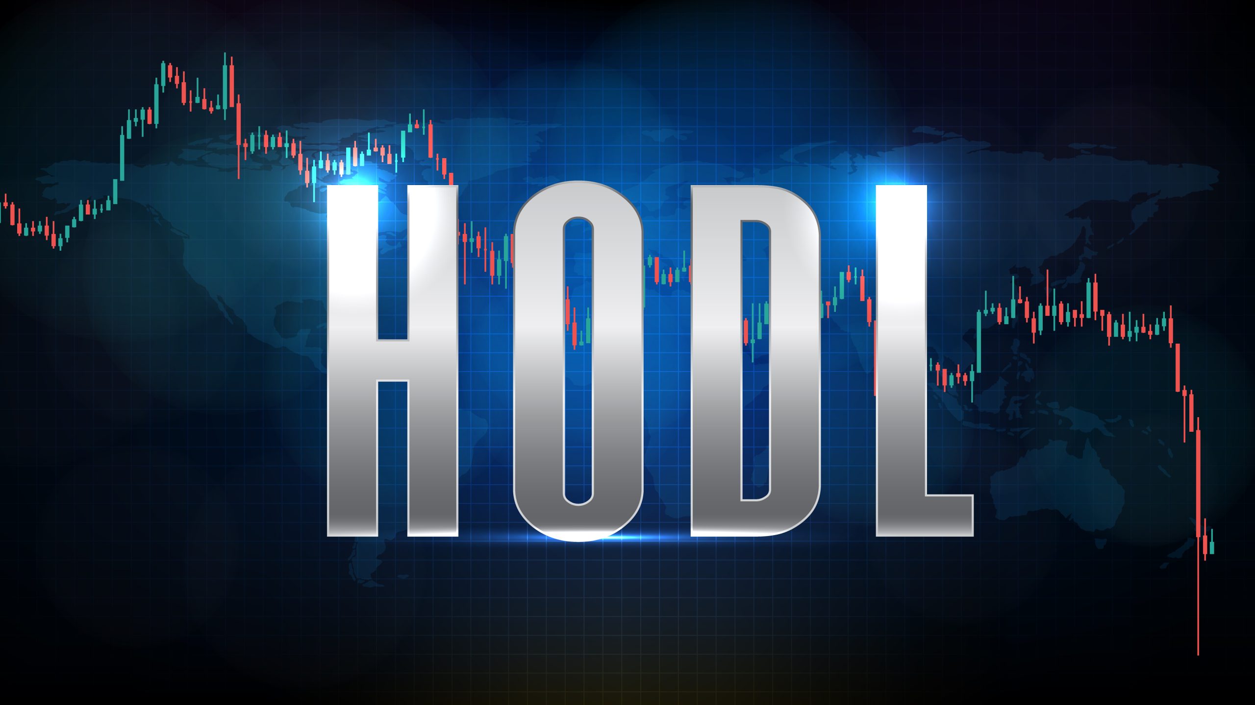 HODL Meme